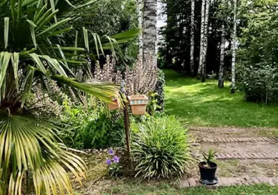 Jardin de l'établissement LE JARDIN DE LA PICHONNERIE Chambres d'hôtes