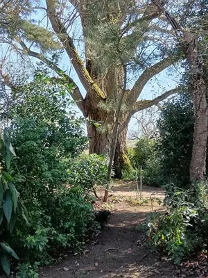 Jardin de l'établissement LE JARDIN DE LA PICHONNERIE Chambres d'hôtes