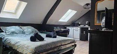 Cuisine ou kitchenette dans l'établissement Le Paille 3 - Studio chic cosy - HyperCentre - WIFI