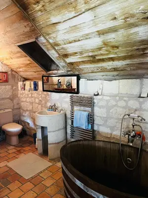 Salle de bains dans l'établissement Château de la Thibaudière - Chambre des oiseaux