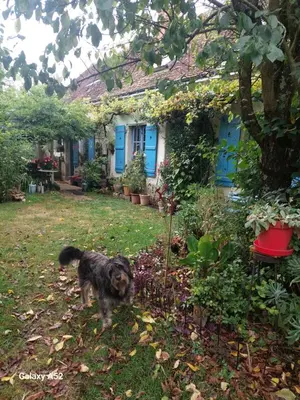 Jardin de l'établissement Chambres dans longère particulière
