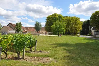 Jardin de l'établissement Les Cottages des Pierres d'Aurèle