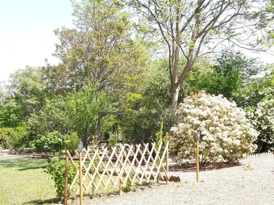 Jardin de l'établissement Chambres d'Hôtes du Clos de la Touche - Piscine chauffée