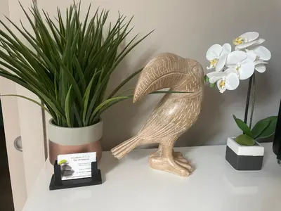 Plan de l'établissement Studio & Gîte Zen de Beauval- 800 m du Zooparc