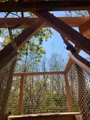Balcon ou terrasse dans l'établissement La Batelière sur Loire
