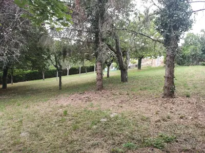 Jardin de l'établissement L'Indrois de repos