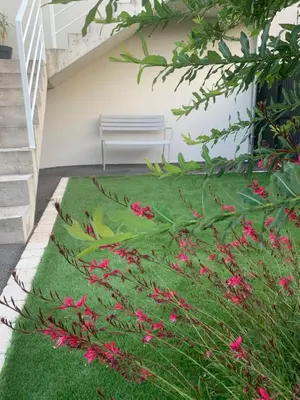 Jardin de l'établissement Logement T2 indépendant 10 mn Angers