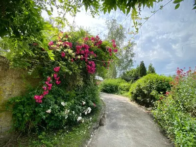 Jardin de l'établissement Clos des Mésanges