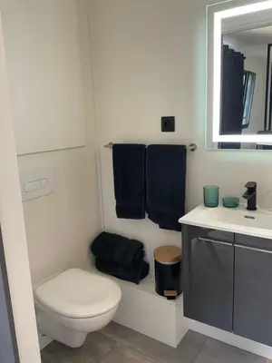 Salle de bains dans l'établissement Tiny house