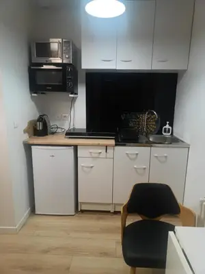 Cuisine ou kitchenette dans l'établissement Studio quartier hôpital et université