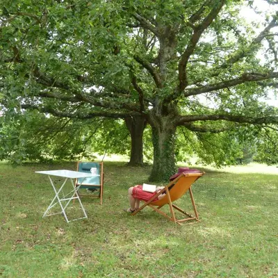 Jardin de l'établissement La Sorellerie