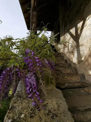 Jardin de l'établissement La chambre des vergers de St Nicolas