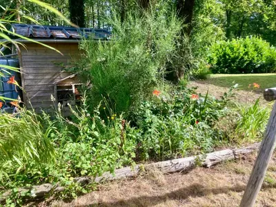 Jardin de l'établissement LOFT au calme proche ZOO
