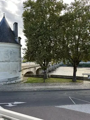 Plan de l'établissement Maison de ville à Châtellerault