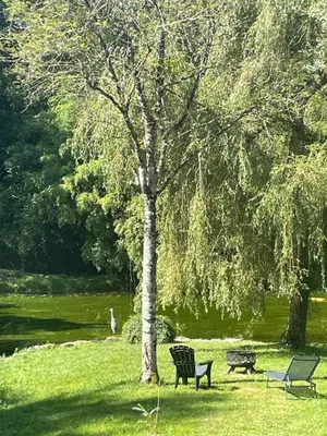 Jardin de l'établissement Lucia de La Motte