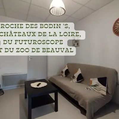 Appartement centre Descartes