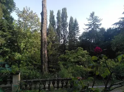 Jardin de l'établissement Magnifiques Ecuries juste rénovées - Domaine de la Mulotière