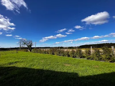 Paysage naturel près de le B&B/chambre d'hôtes