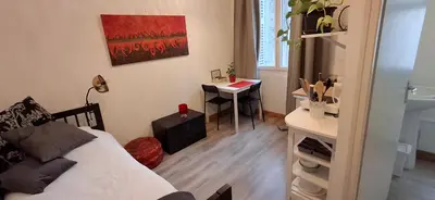 Un ou plusieurs lits dans un hébergement de l'établissement Appartement plein centre chez Eric n3