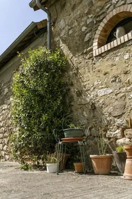 Jardin de l'établissement Maison de campagne au Domaine