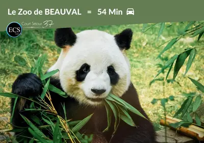 Animaux dans l'appartement ou à proximité