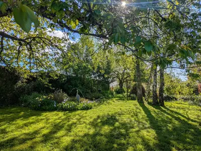 Jardin de l'établissement Chambres d'hôtes avec jardin près des châteaux de la Loire - FR-1-591-666