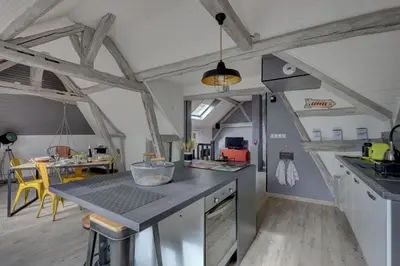Cuisine ou kitchenette dans l'établissement Le Rabelais - Appt à 5min du château dAmboise