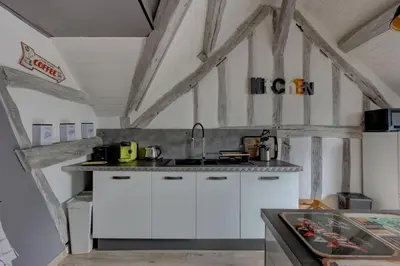 Cuisine ou kitchenette dans l'établissement Le Rabelais - Appt à 5min du château dAmboise