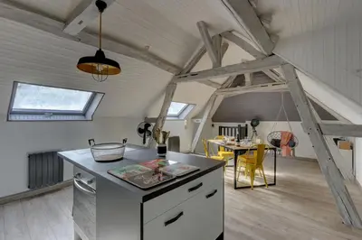 Cuisine ou kitchenette dans l'établissement Le Rabelais - Appt à 5min du château dAmboise