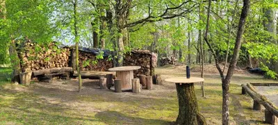 Jardin de l'établissement Les Paillotes de la Haute Mazère