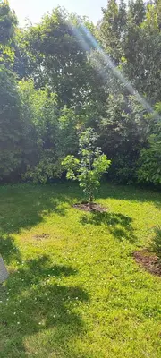 Jardin de l'établissement Chambre en maison chez l habitant