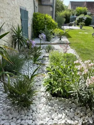 Jardin de l'établissement Maison de village sud Touraine avec piscine proche Chinon Azay