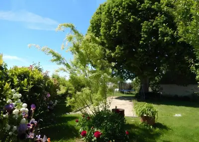 Jardin de l'établissement O My Gite