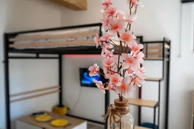 Plan de l'établissement Appartement au Cœur de Tours