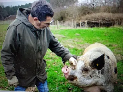 Animaux dans la maison de vacances ou à proximité
