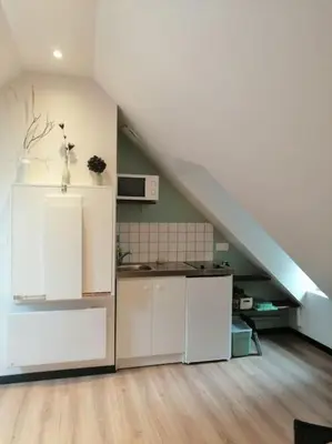 Cuisine ou kitchenette dans l'établissement L' Atout de Loire