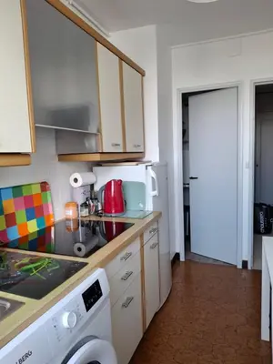 Cuisine ou kitchenette dans l'établissement appartement lumineux