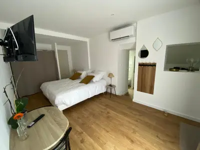 Télévision ou salle de divertissement dans l'établissement L auvetia studio 150 circuit 24h