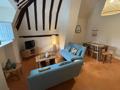 Télévision ou salle de divertissement dans l'établissement Appartement au centre de Richelieu