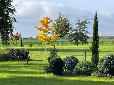 Jardin de l'établissement Manoir de famille Beausoleil