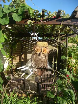 Animaux dans le B&B/chambre d'hôtes ou à proximité