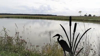 Paysage naturel près de la maison de vacances