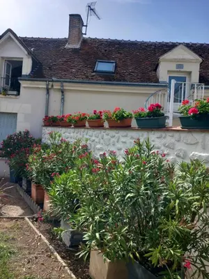 Jardin de l'établissement Les mimosas