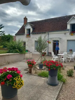 Jardin de l'établissement Les mimosas