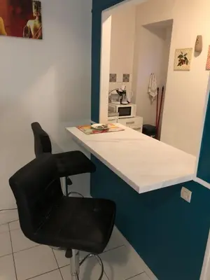 Cuisine ou kitchenette dans l'établissement Confortable studio