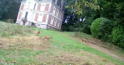 Jardin de l'établissement Château de la Françoisière