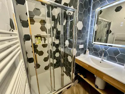 Salle de bains dans l'établissement T3 climatisé face Loire et château l'appart du 4-1