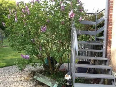 Jardin de l'établissement Le Plessis, Stone Farmhouse Loft with Gardens and Pool