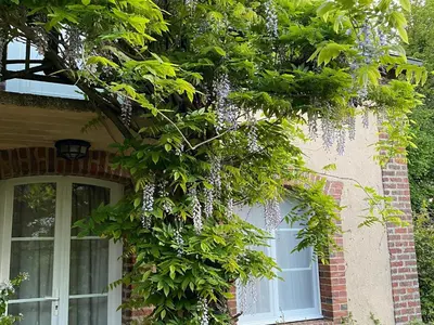 Jardin de l'établissement Chambre spacieuse avec piscine et parking privé - FR-1-410-464