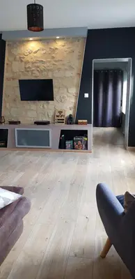 Télévision ou salle de divertissement dans l'établissement 8 seater house near Chinon
